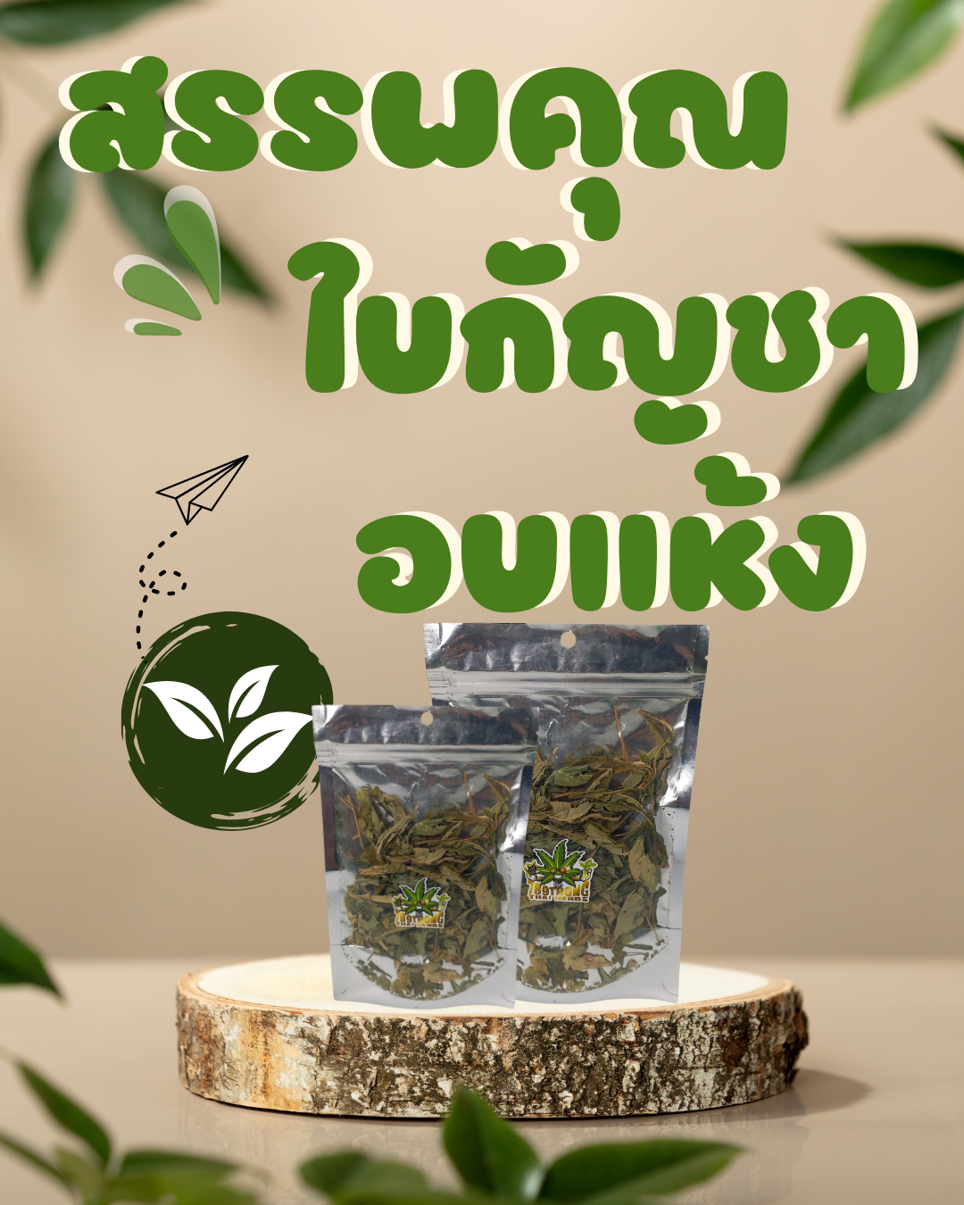 สรรพคุณใบกัญชาอบแห้ง